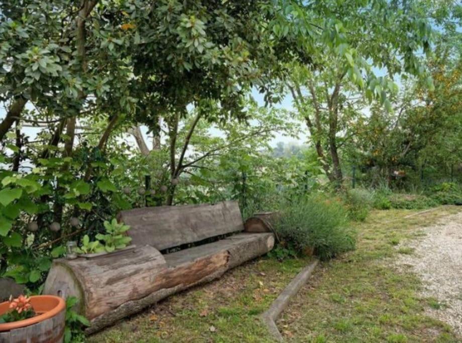 La Casa Rosa Leilighet Piobesi d'Alba Eksteriør bilde